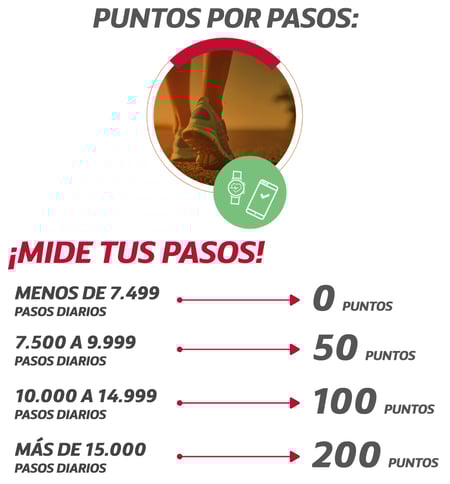 6_Puntos_001